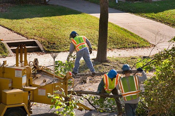 Best Lawn Irrigation Installation and Maintenance  in Rockton, IL